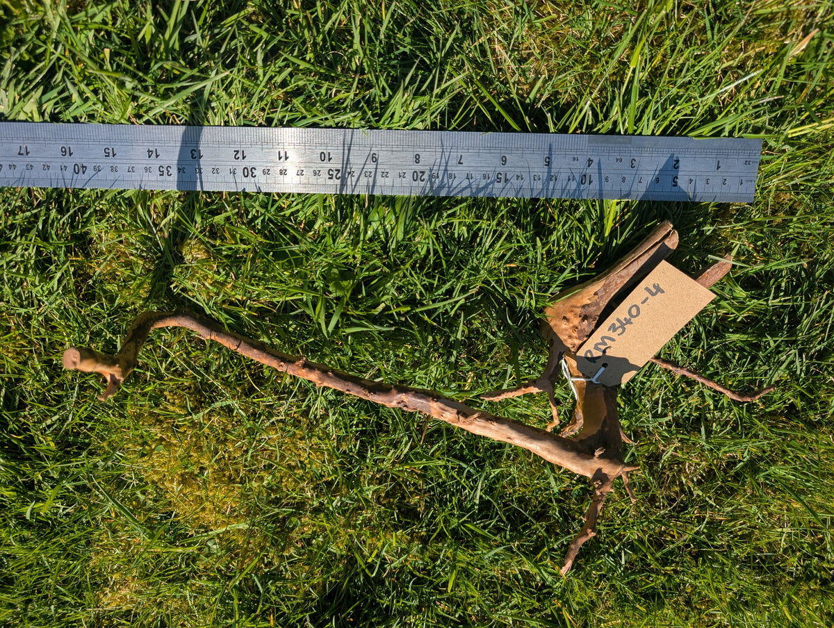 Red Moor Wood (30-40cm) Number 4