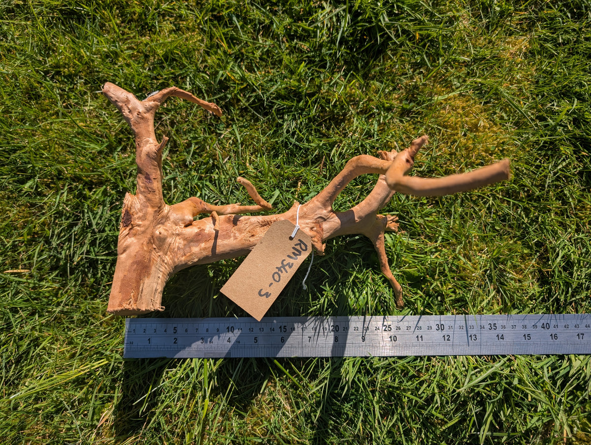 Red Moor Wood (30-40cm) Number 3