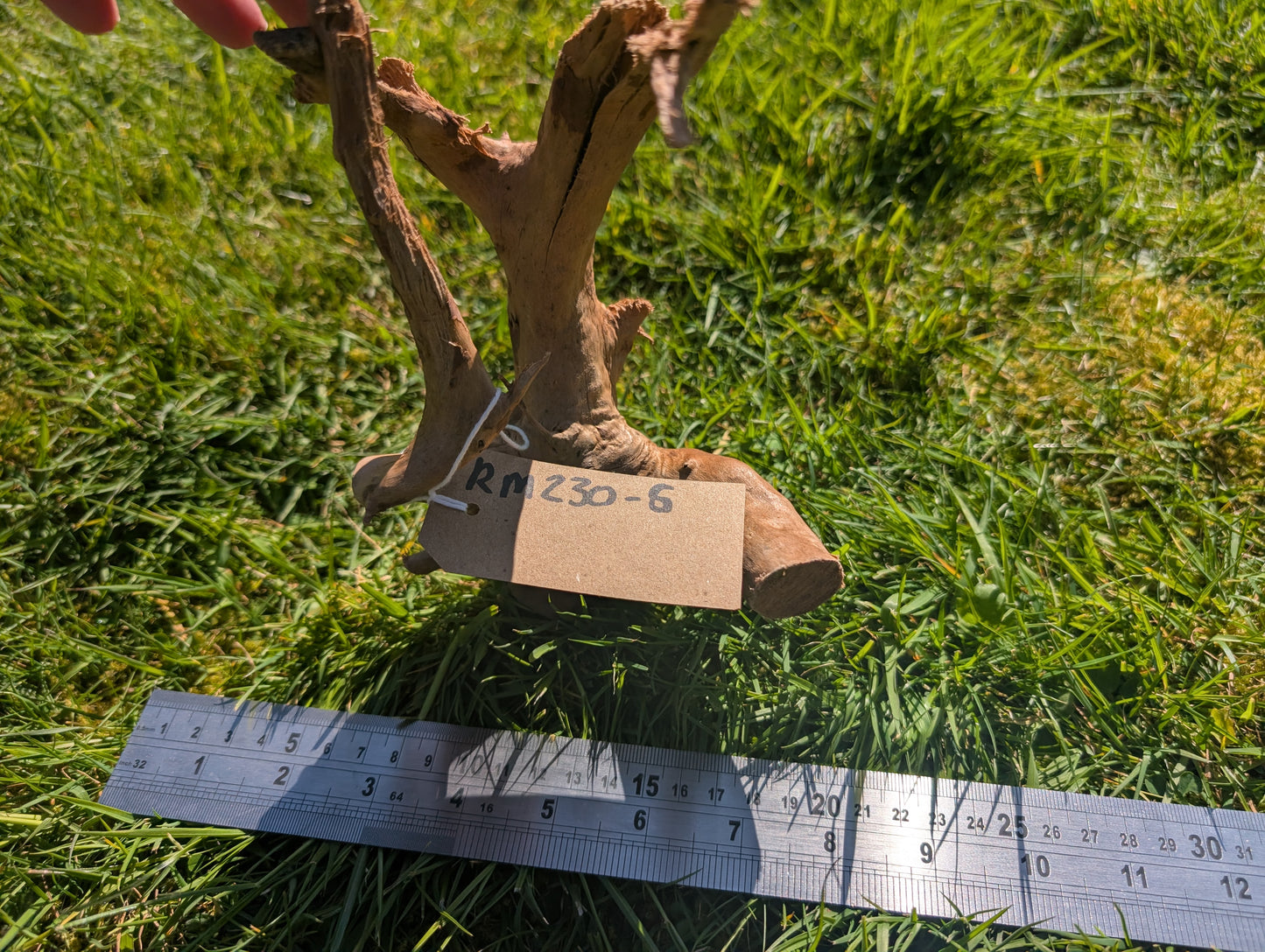 Red Moor Wood (20-30cm) Number 6
