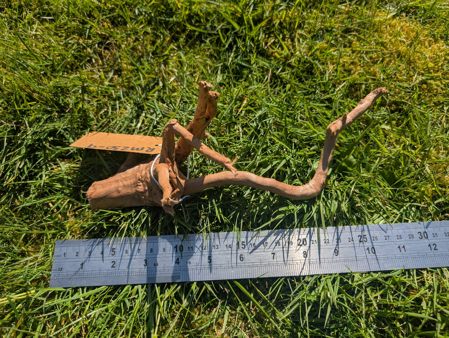 Red Moor Wood (20-30cm) Number 9