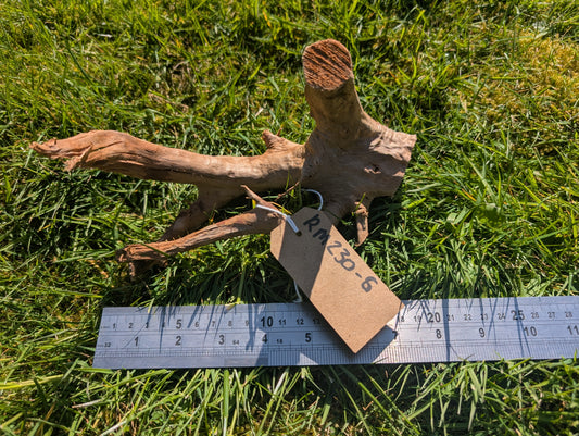 Red Moor Wood (20-30cm) Number 6