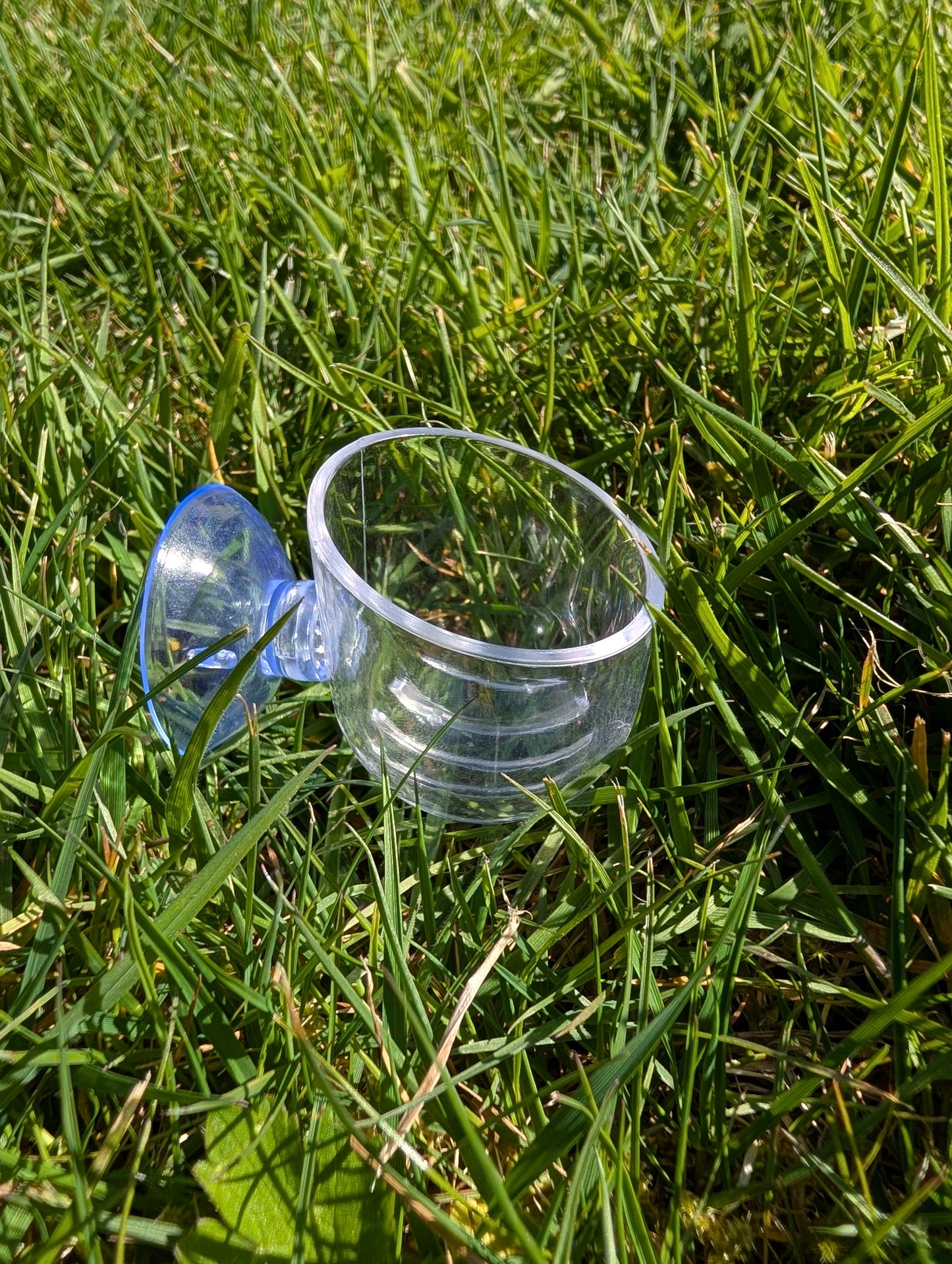 Acrylic Planter with Suction Cup