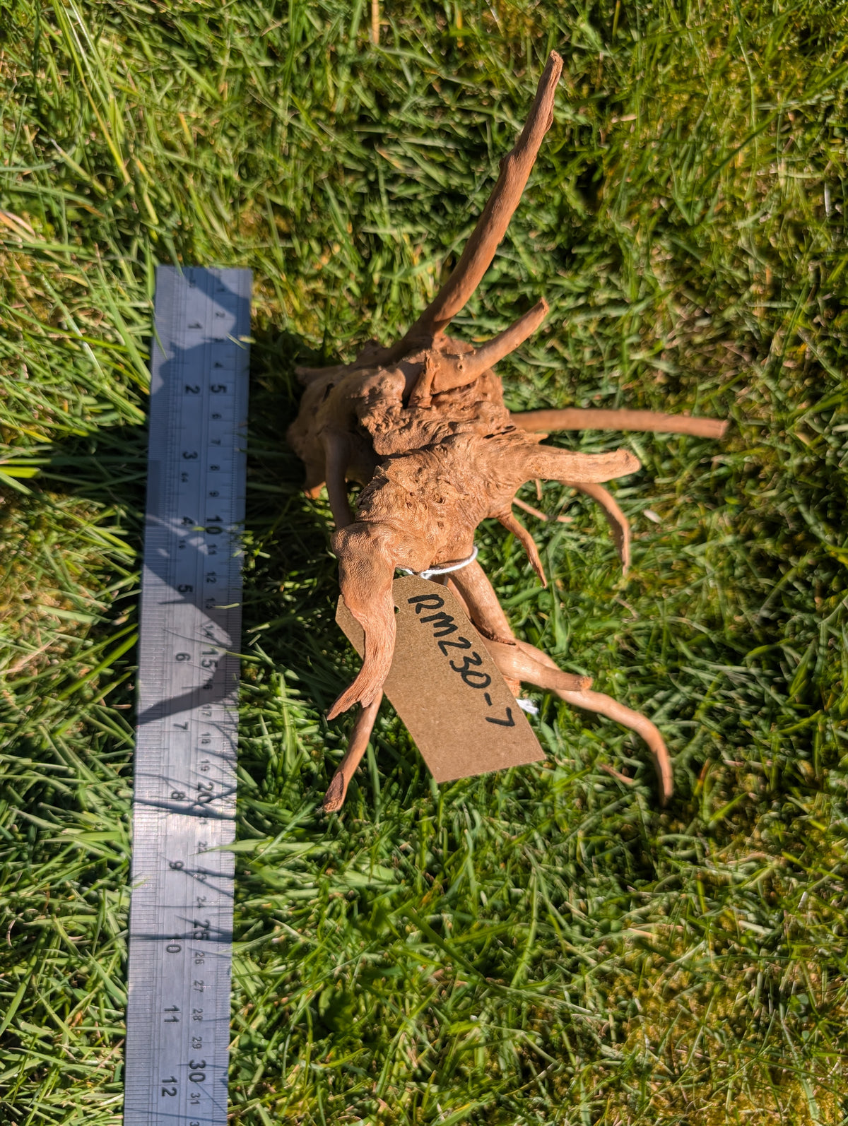 Red Moor Wood (20-30cm) Number 7