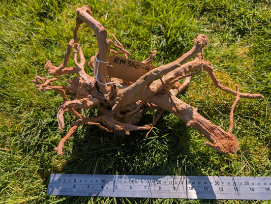 Red Moor Wood (30-40cm) Number 9