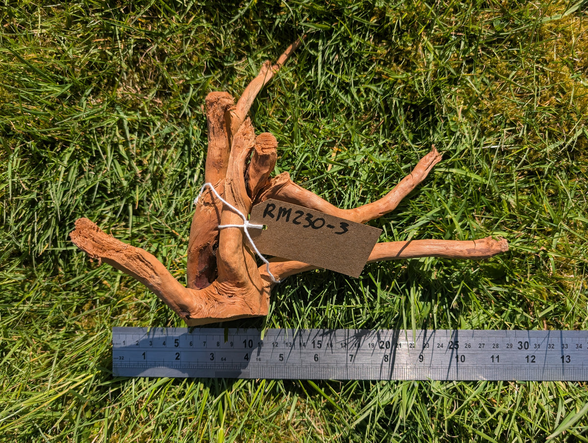 Red Moor Wood (20-30cm) Number 3