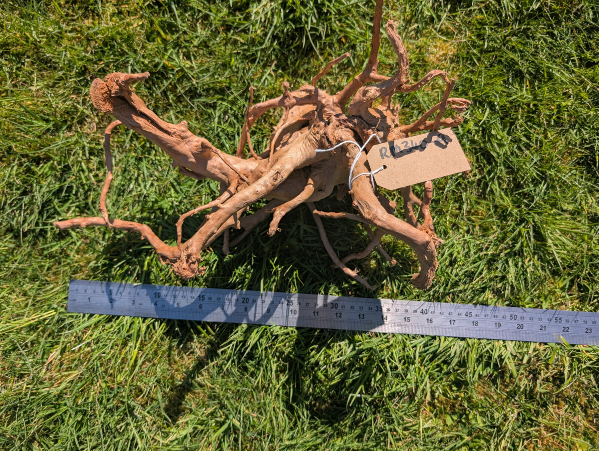 Red Moor Wood (30-40cm) Number 9