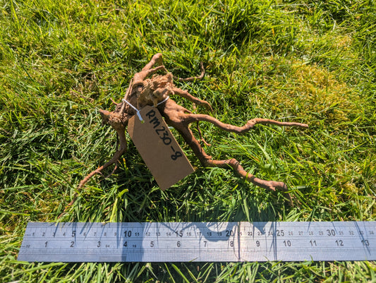 Red Moor Wood (20-30cm) Number 8