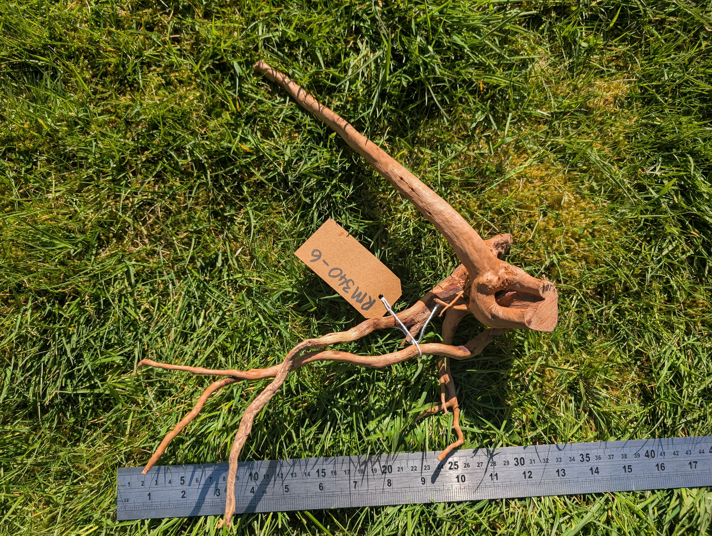 Red Moor Wood (30-40cm) Number 6