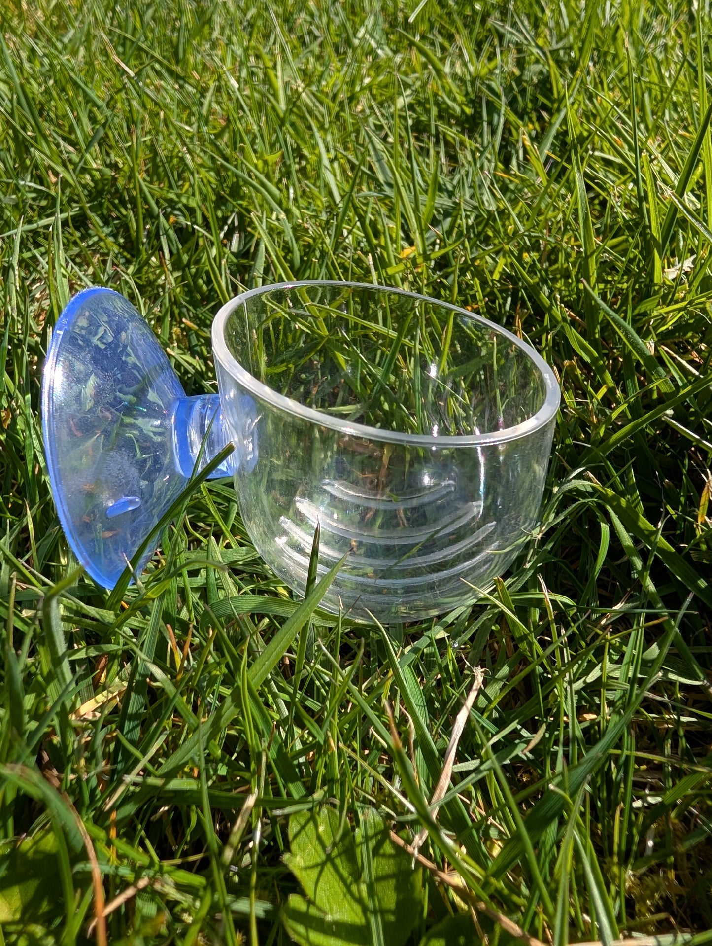 Acrylic Planter with Suction Cup