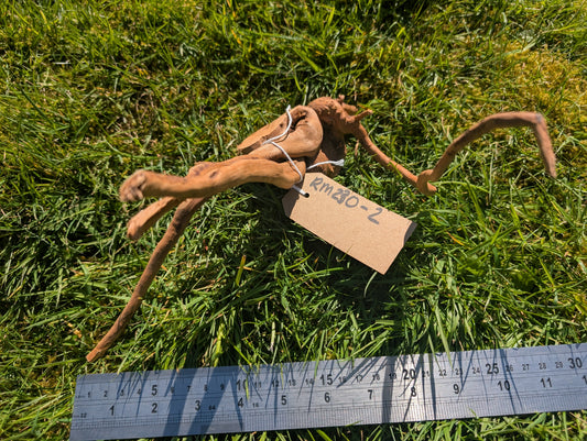 Red Moor Wood (20-30cm) Number 2
