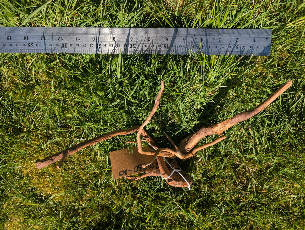 Red Moor Wood (20-30cm) Number 10