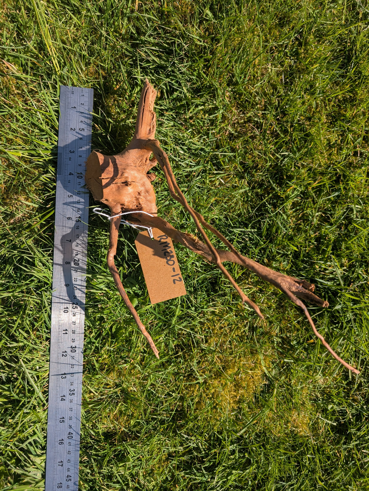 Red Moor Wood (20-30cm) Number 12