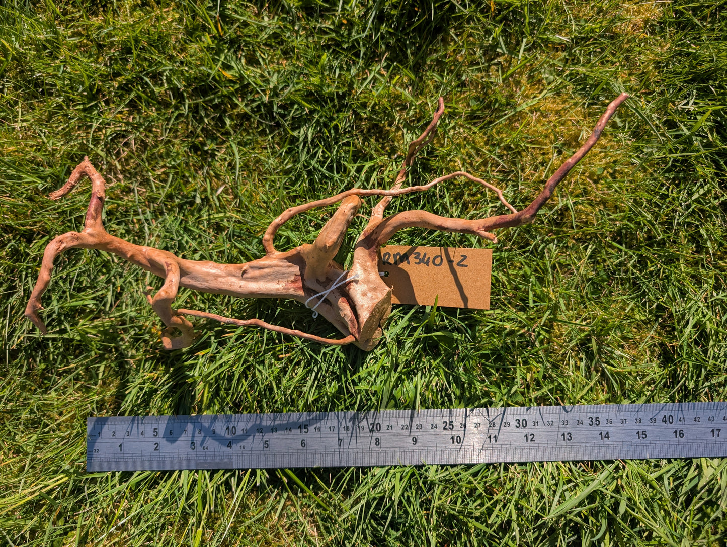Red Moor Wood (30-40cm) Number 2
