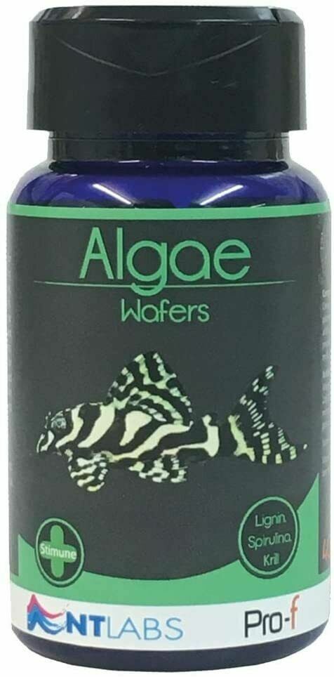NT Labs Pro-f Algae Wafers
