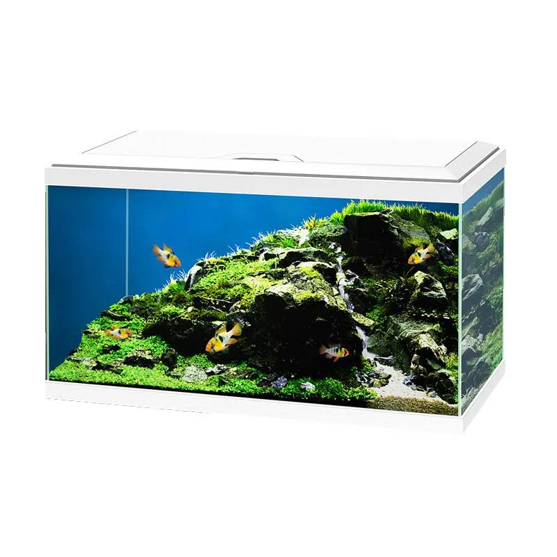 Ciano Aquarium 60 Plus LED and filter - White