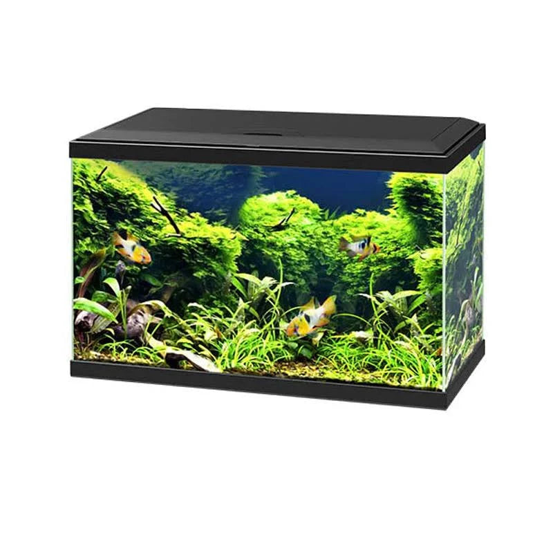 Ciano Aquarium 60 Plus LED and filter - Black